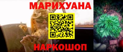 мдпв Можга