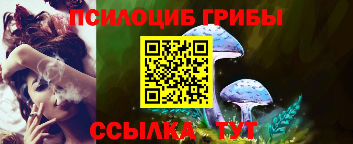 Галлюциногенные грибы Psilocybine cubensis  Вход с VPN  Узловая  Галлюциногенные грибы Psilocybe 